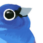 allthe-birds
