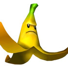 rafalefari