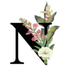 NtheFuture