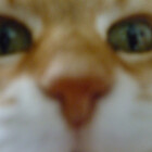 LorinV