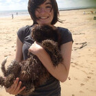 Gabpet