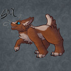Shy-Storm