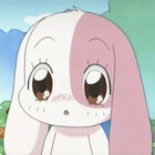 thekdramabunny