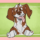 stinkybrowndogs