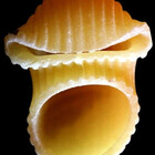 forthemakaron