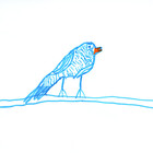 BlueMOonBird