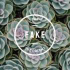 fakesucculent