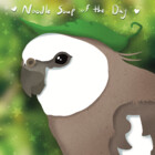 NoodleSoupotDay