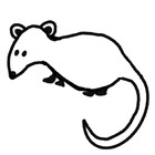 faeriefroggie