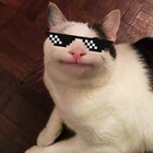 chilledcatboy