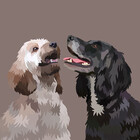 PB-pawtraits