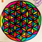 CuccuCollective