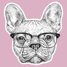 the-tee-dog