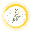 JYooTaki