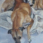 equinepainter