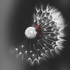 zoominlens