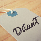 DilanT27