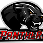 Redbubble profile picture for @panthers