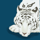 StrayTiger