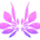 nadaporaca