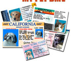 mypetdmv