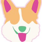 DogMinimalism