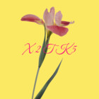 X2TK5
