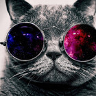 20coolcat