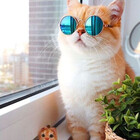 caterspawlupro