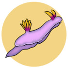 Feniarts