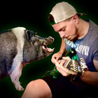 theguitarpig
