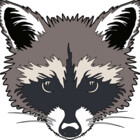 honeyglot