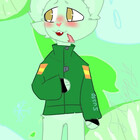 Flippy10