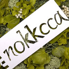 nokkcca