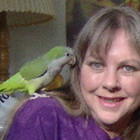 janepriser