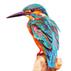 Inyeneart