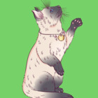 Rabbitrks