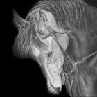 Cs-Art-Explore