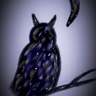 snowstar12