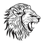 LIQUE-DESIGN