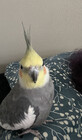 MintyTerror