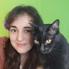 bbandcats