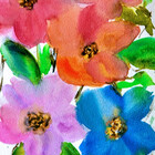 floraskouteri