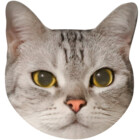 23pawsitive
