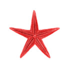 Ephemerae