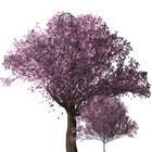 edvin22