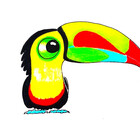 Grassquit