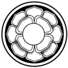 dharmadogstudio