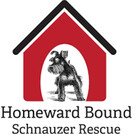 hbschnauzer