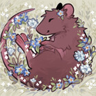 KatyaHam